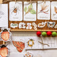 Mini Beasts Learning Unit