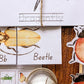 Mini Beasts Learning Unit