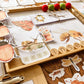 Mini Beasts Learning Unit